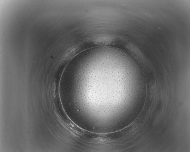 X0000080130498200612151742