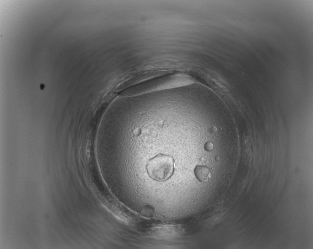 X0000080130499200612151742