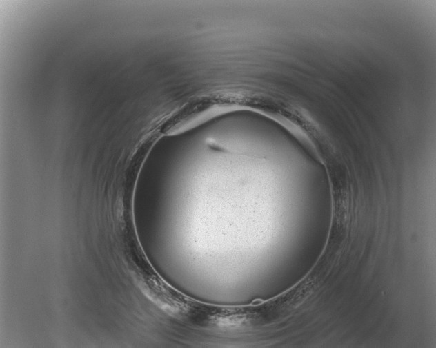 X0000080130500200612151742