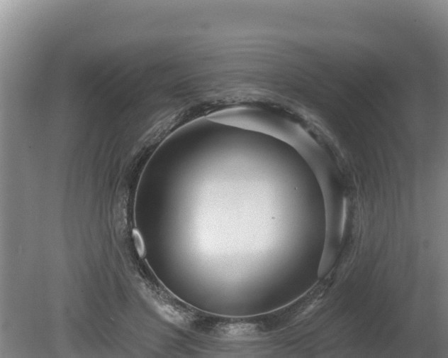 X0000080130501200612151742