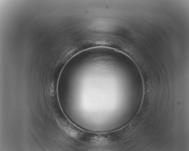 X0000080130502200612151742