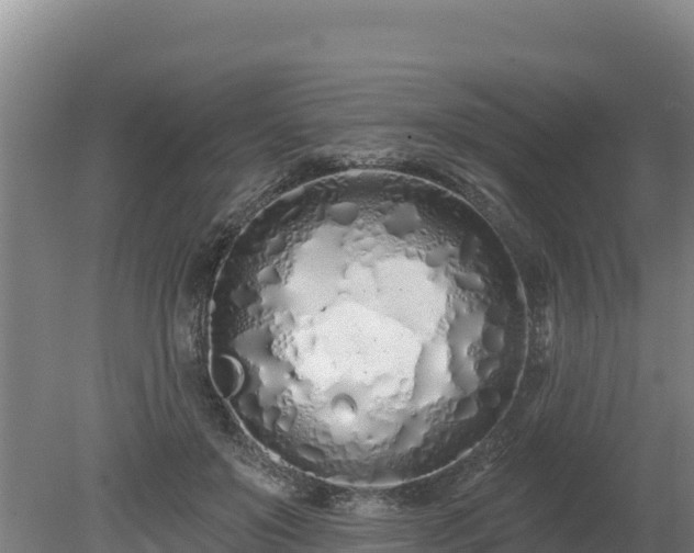 X0000080130503200612151742