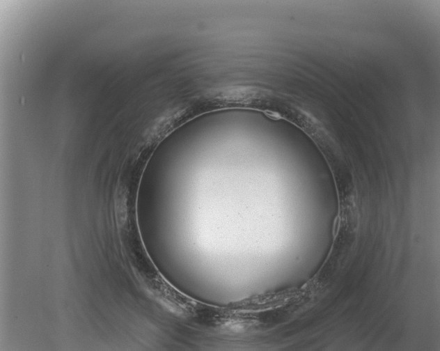 X0000080130504200612151742