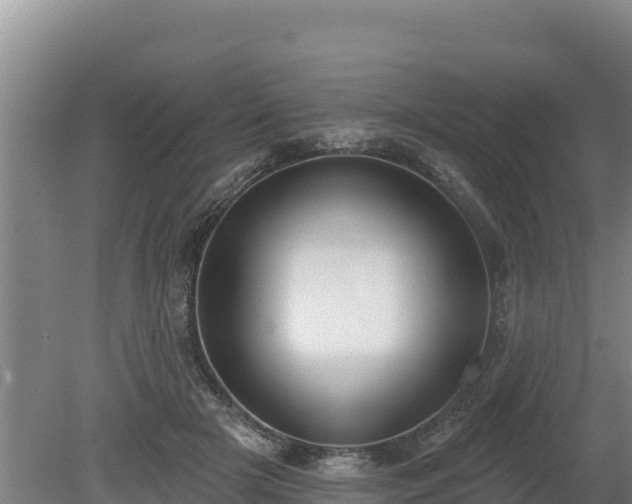 X0000080130505200612151742