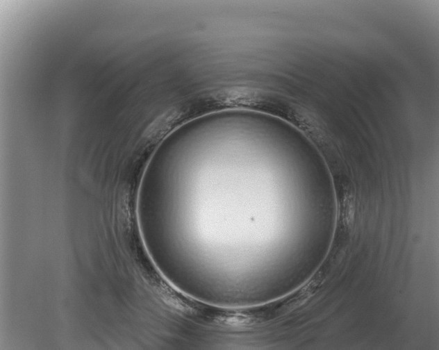 X0000080130506200612151742