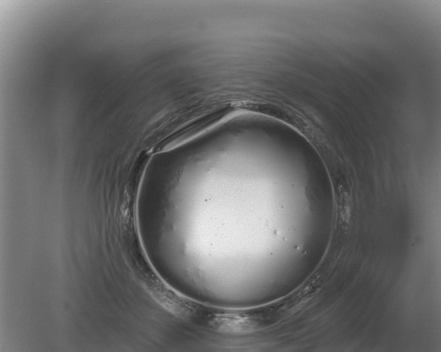 X0000080130507200612151742