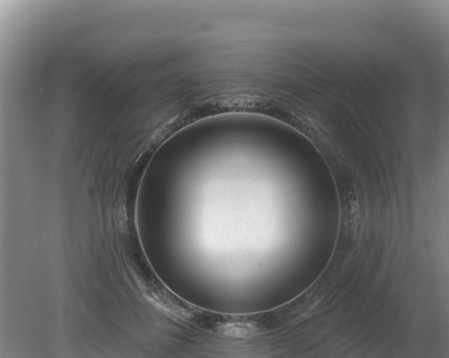 X0000080130508200612151742