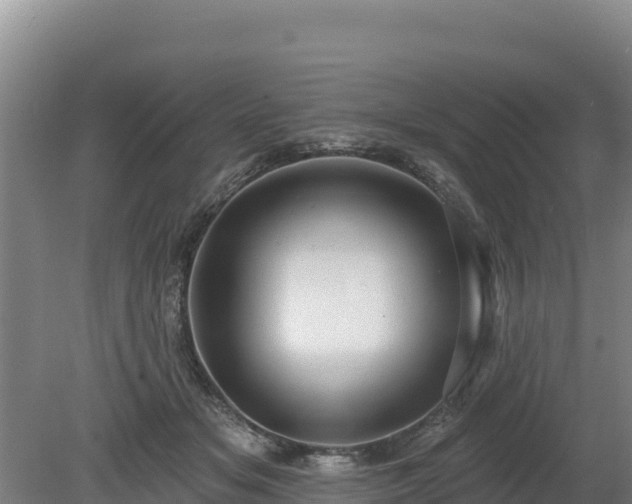 X0000080130509200612151742