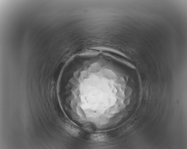 X0000080130511200612151742