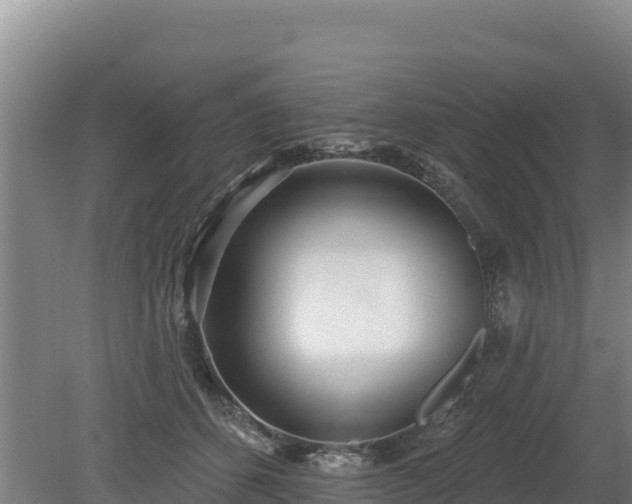 X0000080130512200612151742