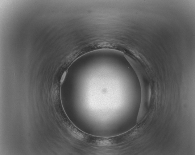 X0000080130513200612151742