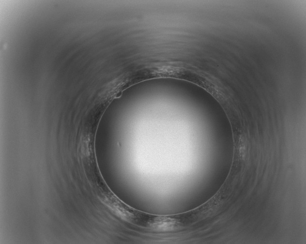 X0000080130514200612151742