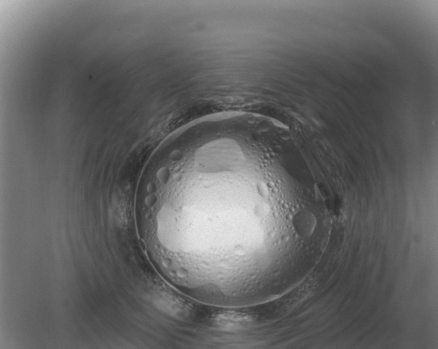 X0000080130515200612151742