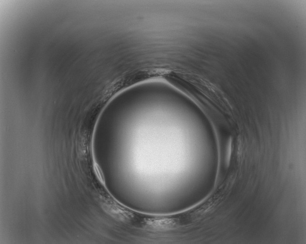 X0000080130517200612151742