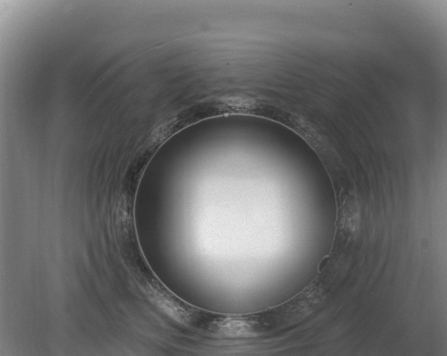 X0000080130518200612151742