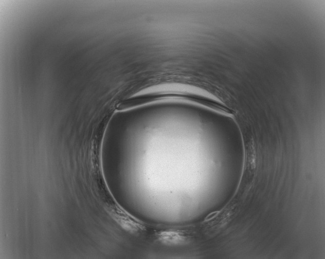 X0000080130519200612151742