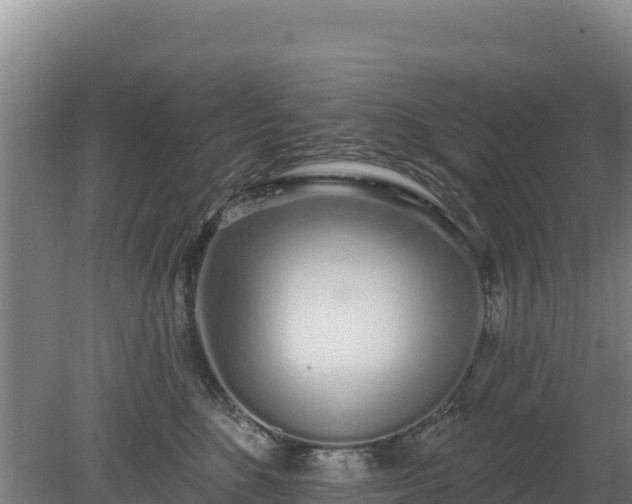 X0000080130520200612151742