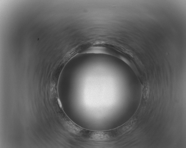 X0000080130521200612151742