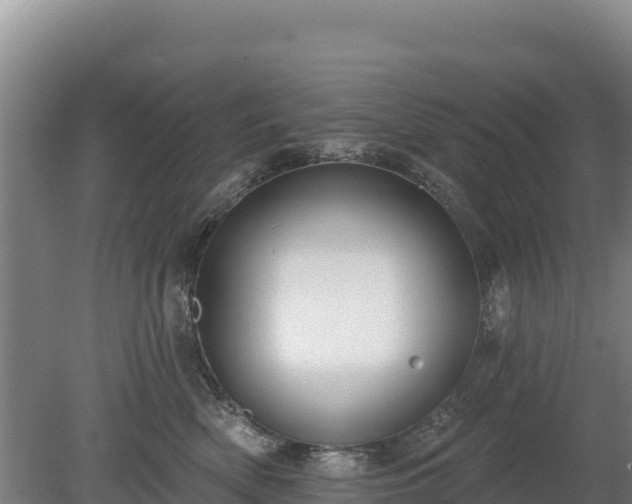 X0000080130522200612151742