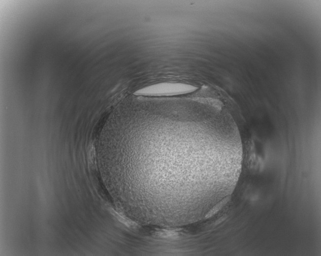 X0000080130523200612151742