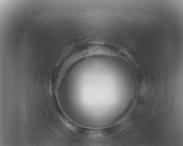 X0000080130524200612151742