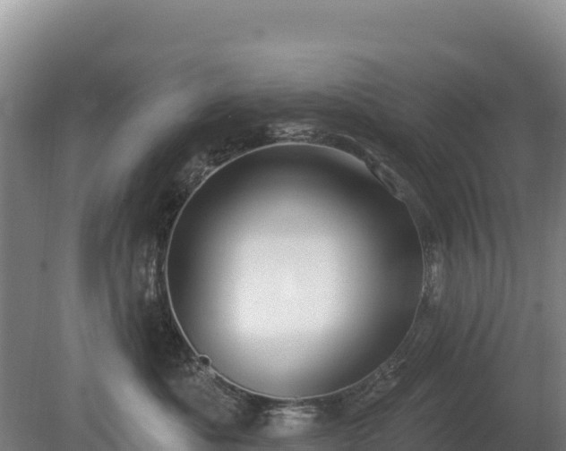 X0000080130525200612151742