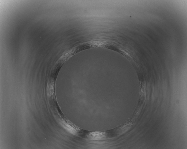 X0000080130526200612151742