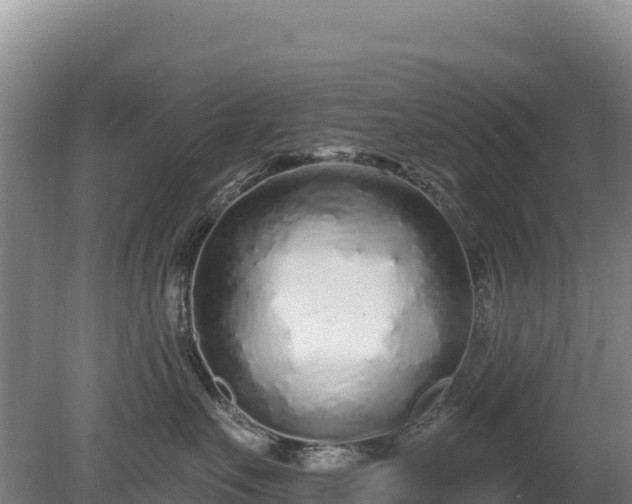 X0000080130527200612151742