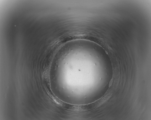 X0000080130528200612151741