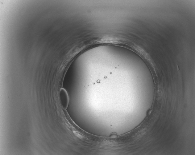 X0000080130529200612151741