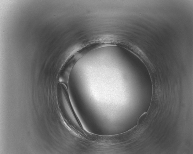 X0000080130530200612151741