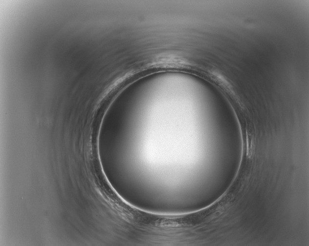 X0000080130531200612151741