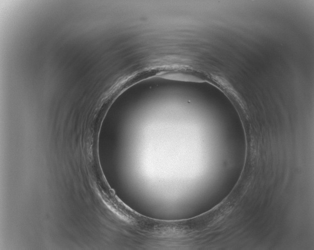 X0000080130533200612151741