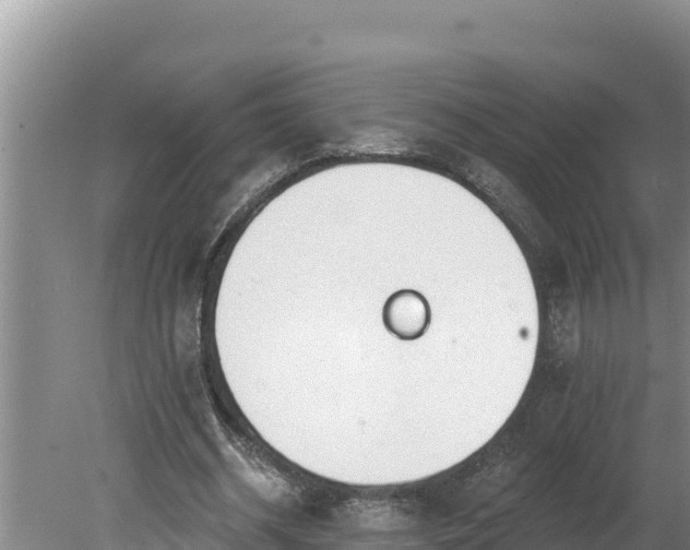 X0000080130534200612151741