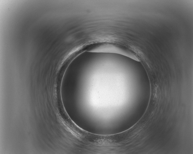 X0000080130535200612151741