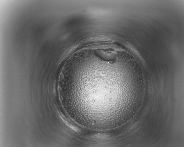 X0000080130537200612151741