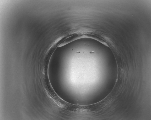 X0000080130539200612151741