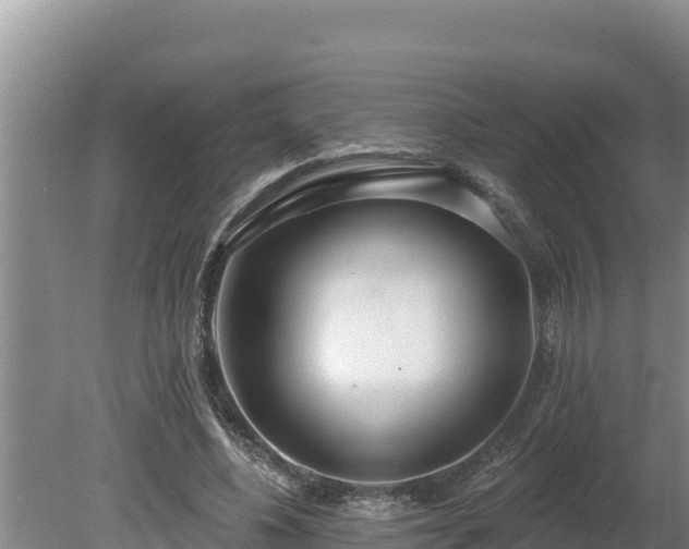 X0000080130540200612151741