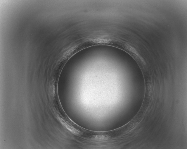 X0000080130541200612151741