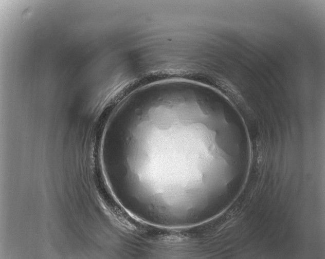 X0000080130542200612151741