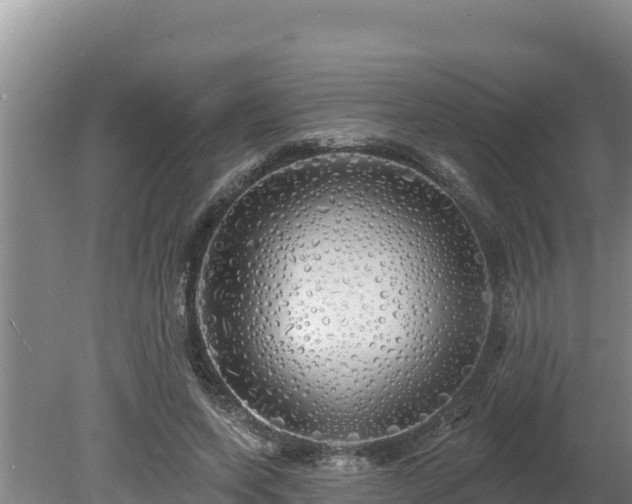 X0000080130543200612151741