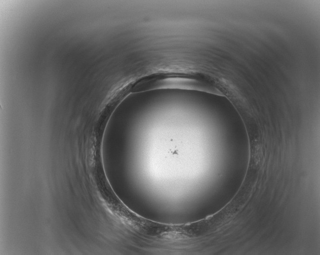 X0000080130544200612151741