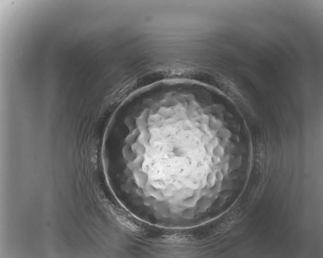 X0000080130545200612151741