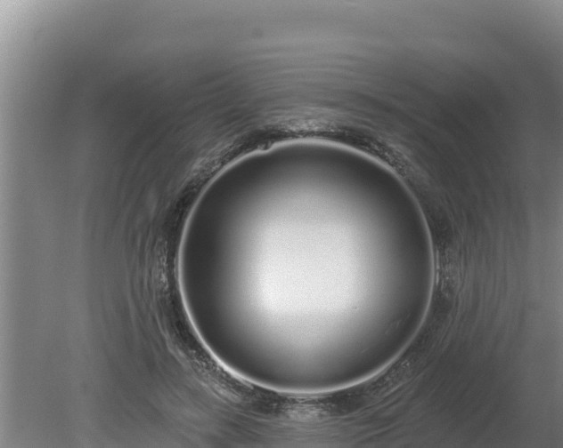 X0000080130547200612151741