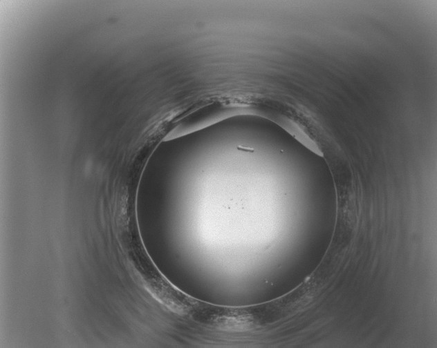 X0000080130548200612151741