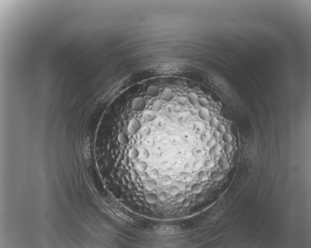 X0000080130549200612151741