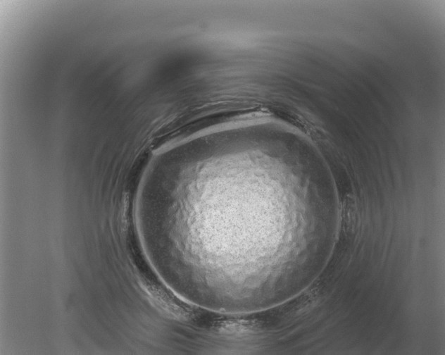 X0000080130550200612151741