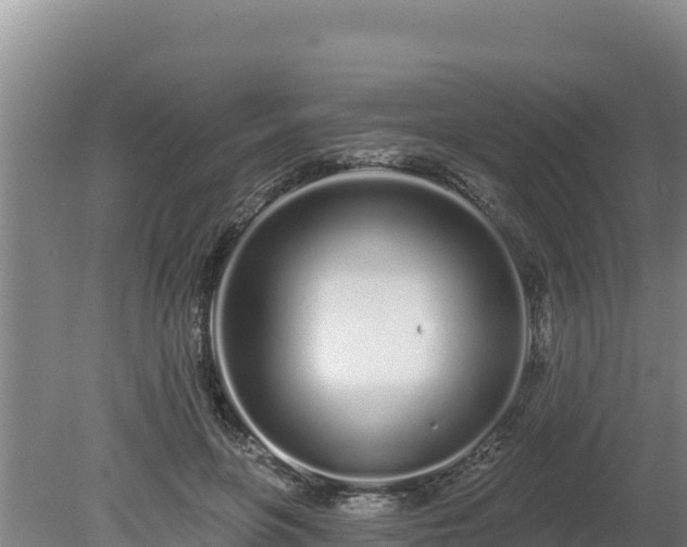 X0000080130551200612151741