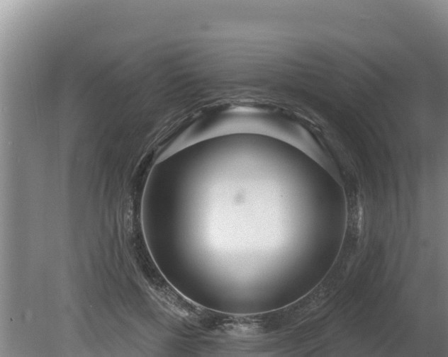 X0000080130552200612151741