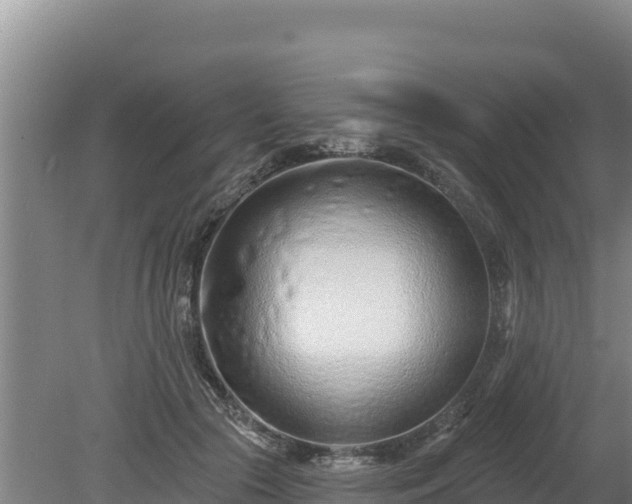 X0000080130553200612151741